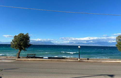 Seashell Home - Foto 14