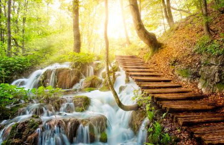 Apartments Božić - Foto 21