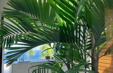 Cachito de Cielo - Foto 65