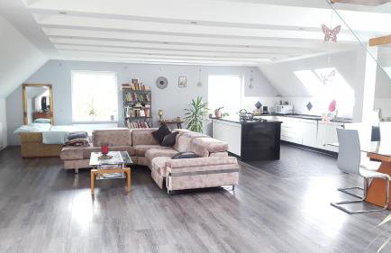 Apartamenty Holiday Slaw jacuzzi bilard - Foto 47