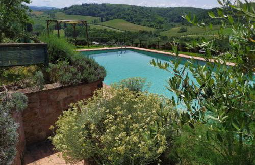 Antonella House -Podere della Collina - Foto 4