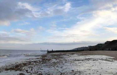 Garden Cottage, Cosy, Private, Short drive to beach - Foto 42