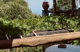 Δυό Πηγές - Foto 10