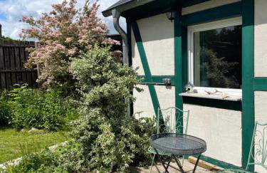 Ferienhaus Gerswalde - Photo 4