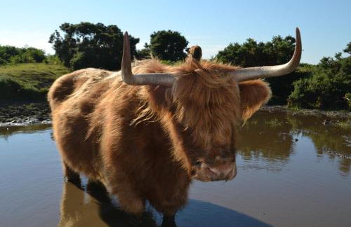 Bentley Cottage - Foto 27