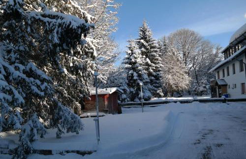 Ferienwohnungen Haus Zeier - Foto 65