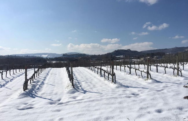 Agriturismo Podere Casa al Vento - Photo 59