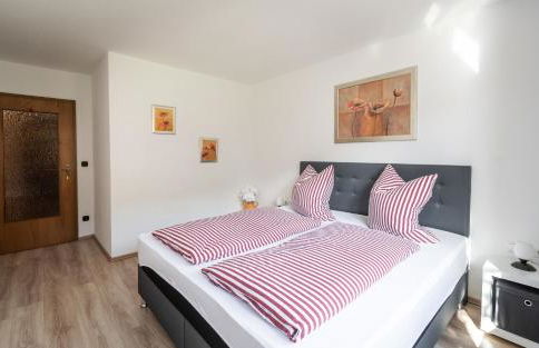 Neu! Sonnige Terrassen-Ferienwohnung in den Bergen - Foto 8