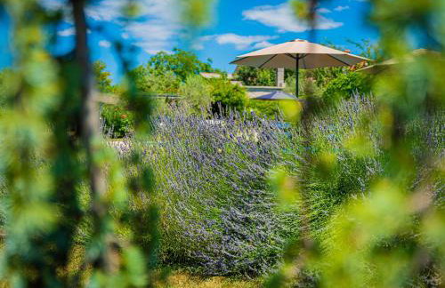 Villa Benka, Istrian stone house - Foto 93