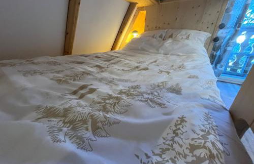 Chalet 6-8 pers St Lary Alt1700m -100mdespistes classé 4 étoiles - Photo 30