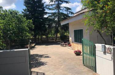 Villa Syria - Monopoli - Foto 23