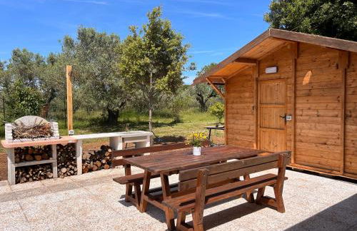 Casa RiVa - Among olive trees and the Tuscan coast - Foto 19