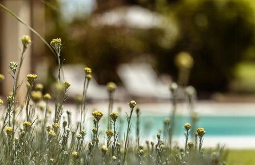 Farmhouse With Pool Near Saint-Rémy-De-Provence - Foto 32
