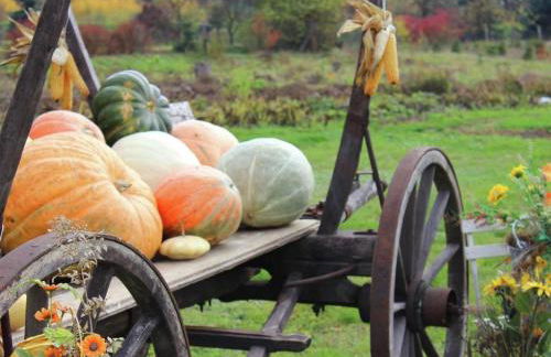 Holiday Home Christine by Interhome - Photo 8