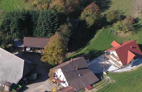 Ferienwohnungen Hansmartihof - Foto 2