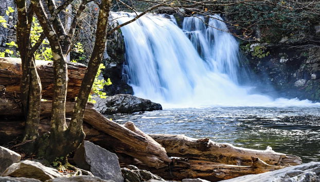 Whispering Pines 124 by Jackson Mountain Rentals - Photo 4, Équipement de l’hébergement