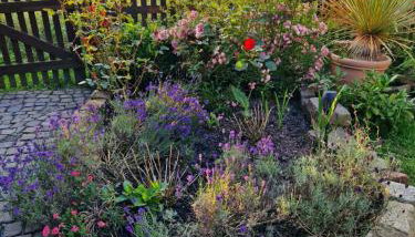 Ferienwohnung Flair - Foto 3, Garden