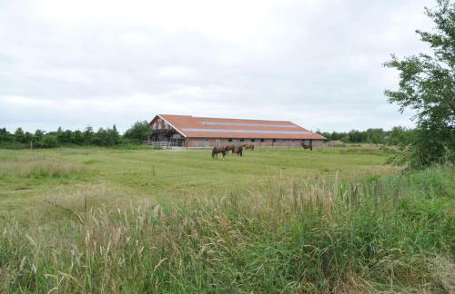 Ferienwohnungen Sund Ostfriesland - Foto 51