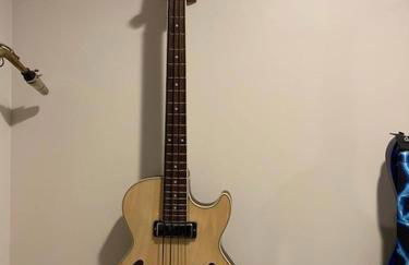 Temple View Inn with Music Studio - Foto 59