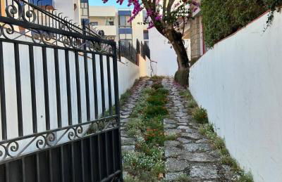 Nazaré Sol - Excelente Vista para o Mar - Foto 28