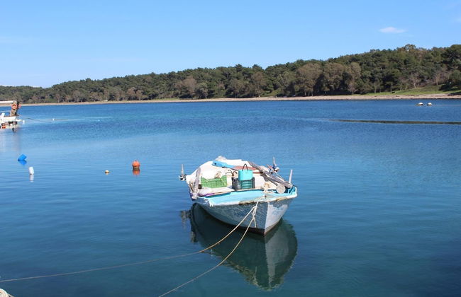 Adonis Hotel - Foto 48