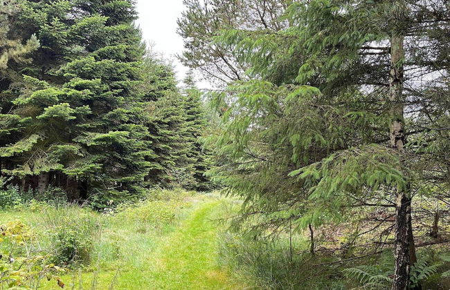 2 Person Holiday Home in Snedsted - Foto 11