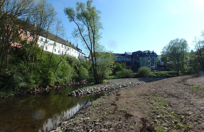 Modern Holiday Home in Eifel With Sauna - Foto 34