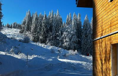 Feldberg Apartment - direkt an der Skipiste - mit Sauna - Foto 9