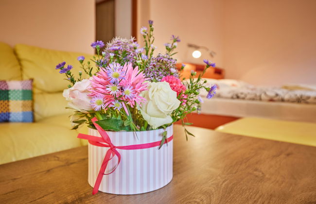 U Šustrů - Foto 15