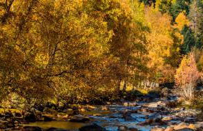 Apartament Cal Cinto - Foto 29