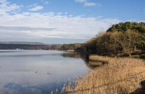 Leśny Apartament - Foto 11