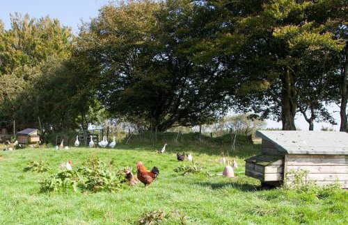 Inviting 2-bed Cottage in Newcastle Emlyn - Foto 25
