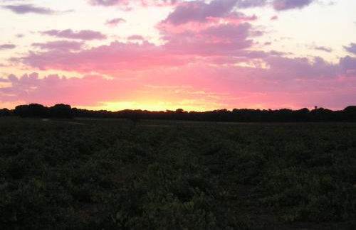 Casa Rural La Navarra - Foto 28