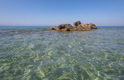 mare di zante "mare di levante" - Foto 29