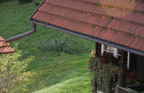 Schwarzwald Buchenhof - Foto 10