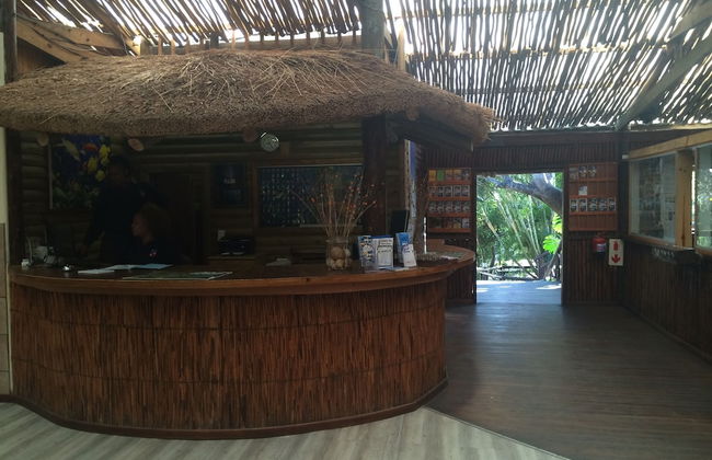 Coral Divers - Foto 2