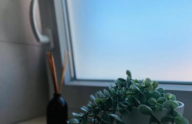 White Truffle Pula - Foto 14