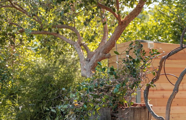 Artistic Vac Villa w pool by Sea N' Rent - Foto 68