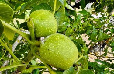 Casa da Curva - Foto 59