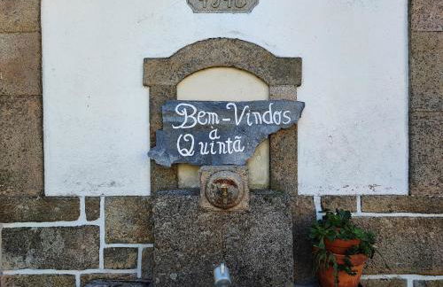 Casa da Avó - Photo 24