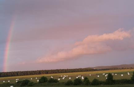 Magico Posto - Foto 33