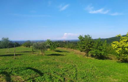 B&B Naturin - Eco Farm - Foto 14