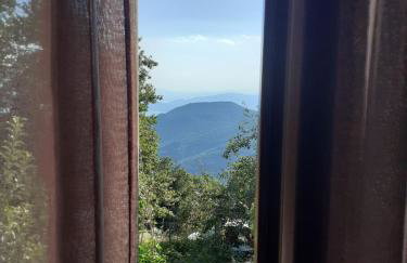 Maro's Guesthouse - Foto 33