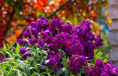 Eco holiday house Cive - Foto 29