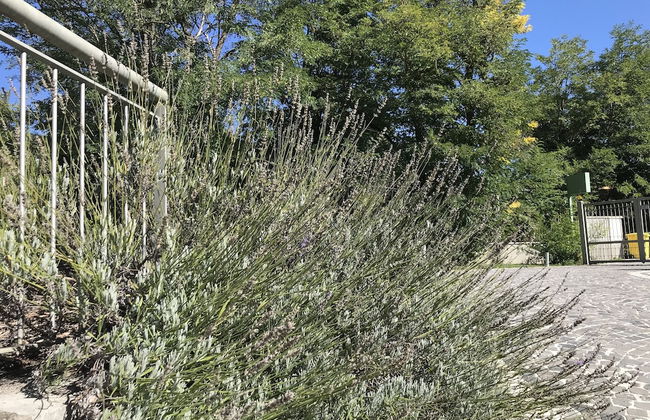 Oasi del Vetoio - Photo 18