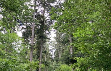 Ferienwohnung zum Wohlfühlen - Foto 21