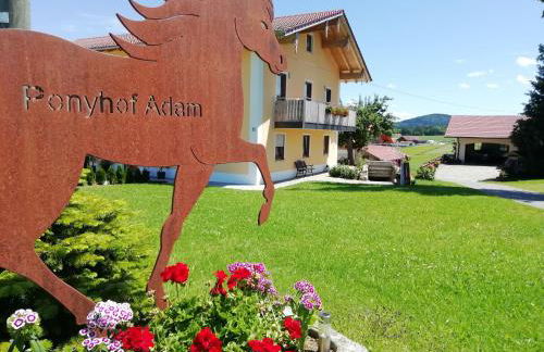 Ponyhof Adam Urlaub auf dem Bauernhof - Foto 2