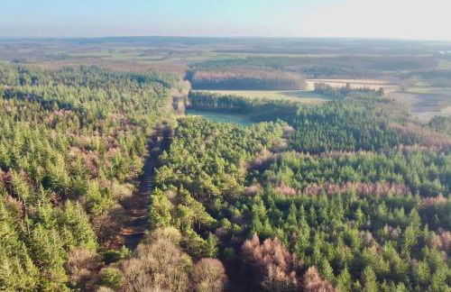 Urlaub mit Hund im Ferienhaus am Wingster Wald - Foto 3