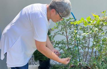 Agriturismo da Natalino - Foto 45