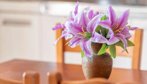 Apartamento Portosun Caracol - Foto 5